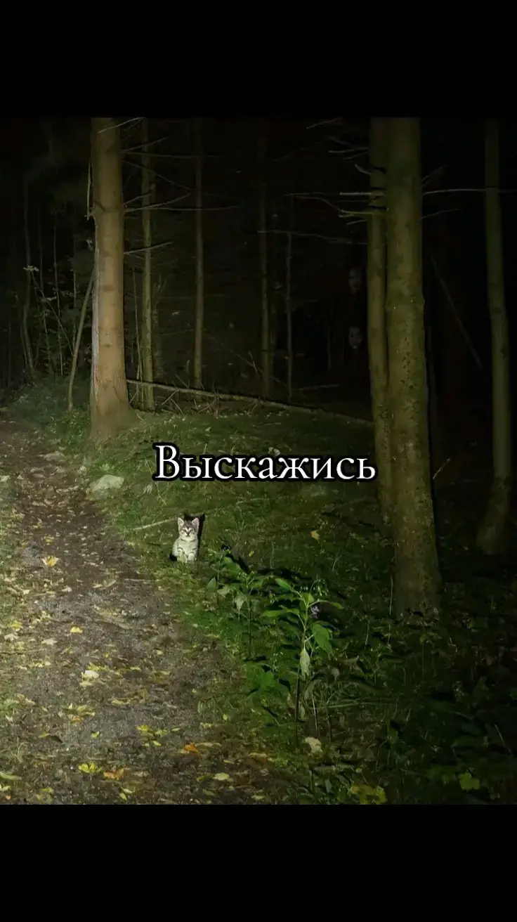 что у тебя на душе?  #щп #щитпост #грустныйщп #щпдослёз #р_е_к_о_м_и_н_д_а_ц_и_и #rek #fyp 