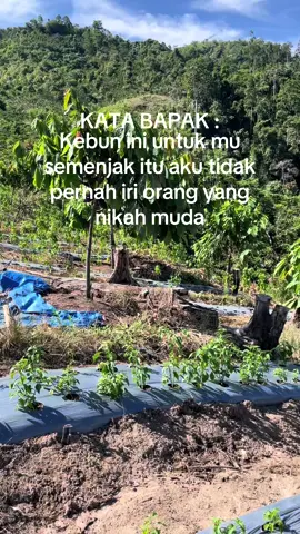 #Sepesial petani coklat