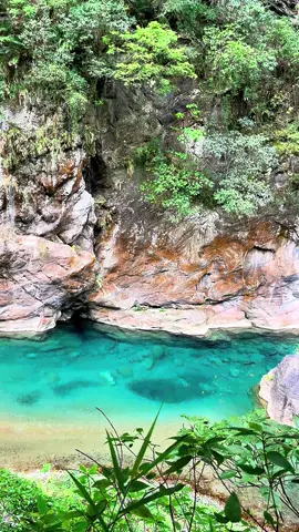 📍taroko national park, taiwan 🇹🇼 #tarokonationalpark #tarokogorge #taiwan #fypシ #travel #traveltok #hualien #fyp #nature #aesthetic #xyzbca 