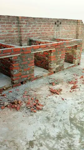 Aseel Cage Design #aseelmurga #aseellovers #foryoupage #newsetup #foryou #petsvlog #minivlog 