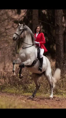 От бекстейджа к результату