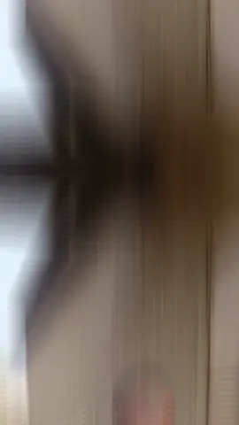 #whattowatch #newmovies #viralvideos #trendingeditor #kingsadeeq_editor #CapCut 