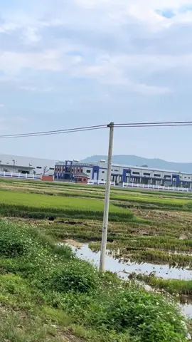 Quê e vùng núi Thanh Hóa..ngọc lặc những ai đang ở cty này điểm danh mai chào nhau cái#ctylienhungngoclac#36thanhhoa❤️ #ngoclac