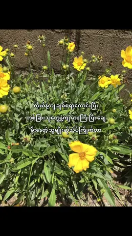 🤓#စာတို #08 #crdvideo #fr #fypシ゚ #foryou #views #fypシ゚viral🖤tiktok #fypシ゚ #fyppppppppp 