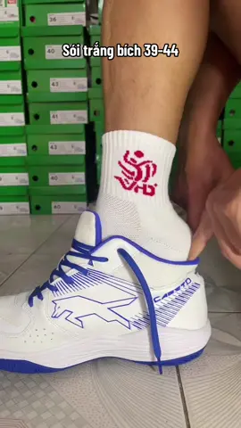 Giầy VHD Sói Trắng Bích #xuhuong #giayvhdcabeto #giaybongchuyen #lukacusports 