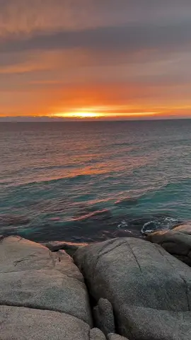 Sunset spills gold across the sea. Waves whisper stories only the wind understands. A moment between light and silence. #SunsetWaves #OceanWhispers #GoldenHourVibes #TropicalPoetry #SeasideDream #NatureInMotion #BeachSundown #WavesAndLight #ocean #myvoyageworld 