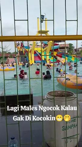 Lagi Mls😁