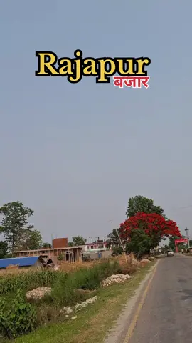 #bardiyamuser #flowers #2025 #foryou #capcut #foryou #foryoupage #rajapurmuser🏡 #Vlog @🌙🕊 @Ranjesh Dharkatuwa🚛 @Rajesh Dahit248 @꧁༆ SUBASH  ༆༒︎ @निर कुशुम्मिया @Dinesh Thakur @Roshan Chukaha @KARAN..❗ @Rakesh Chaudhary @Yub Raj Tharu 