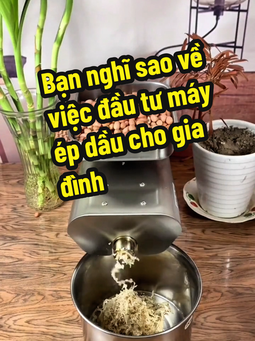 Bạn nghĩ sao về việc đầu tư máy ép dầu cho gia đình #mayepdau #mayepdauthucvat #mayepdautainha #dauthucvat 