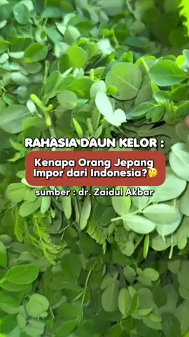 Kenapa orang Jepang impor dari Daun Kelor dari Indonesia?🌿🤔 Daun kelor punya kandungan nutrisi yang lengkap banget — mulai dari asam amino esensial, mineral penting, sampai lemak sehat mirip minyak zaitun. Nutrisi ini yang bikin daun kelor jadi superfood alami. Nah, Jepang dikenal sangat memperhatikan kualitas bahan alami yang mereka konsumsi. Mereka impor daun kelor dari Indonesia karena di sini daun kelornya tumbuh subur dengan kualitas terbaik, tanpa bahan kimia dan dengan kandungan nutrisi yang tinggi. Dr. Zaidul Akbar bilang, daun kelor ini memang salah satu ciptaan Allah yang sempurna untuk menjaga kesehatan kita. Makanya, gak heran kalau negara maju seperti Jepang memilih daun kelor Indonesia sebagai bahan alami andalan mereka. Kalau kamu mau hidup sehat dengan cara alami yang sudah dipercaya banyak orang, daun kelor bisa jadi pilihan tepat buat kamu!💚 #naturlife #kelorbubuk #moringa #moringapowder #DaunKelor #HerbalIndonesia #SehatAlami #DrZaidulAkbar #NaturalHealing #EdukasiSehat #fyp #4u 