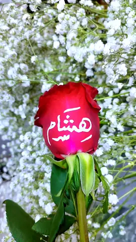 #هشام#اكسبلور #مصر_السعودية #الحبايب #حروف_الحب 