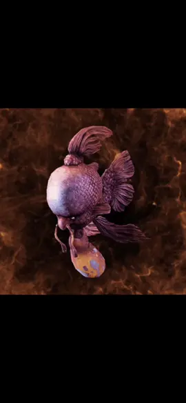 sorry the template went too hard for me to ignore check link in bio ‼️‼️ #Meme #MemeCut #warframe #undergroundfishmarket #warframecommunity #warframememes #warframetiktok #fish #fyp 