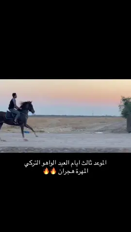 ما شاء الله🔥🔥🔥🔥#خيول_عربية_اصيلة_🌹💙 #خيل_وخياله🐎 #اذكروا_الله_يذكركم #توكلت_على_الله #ماشاءلله_تبارك_الله #العراق🇮🇶 #خيول_عربية_اصيلة #اللهم_صلي_على_نبينا_محمد #تركيا🇹🇷اسطنبول 