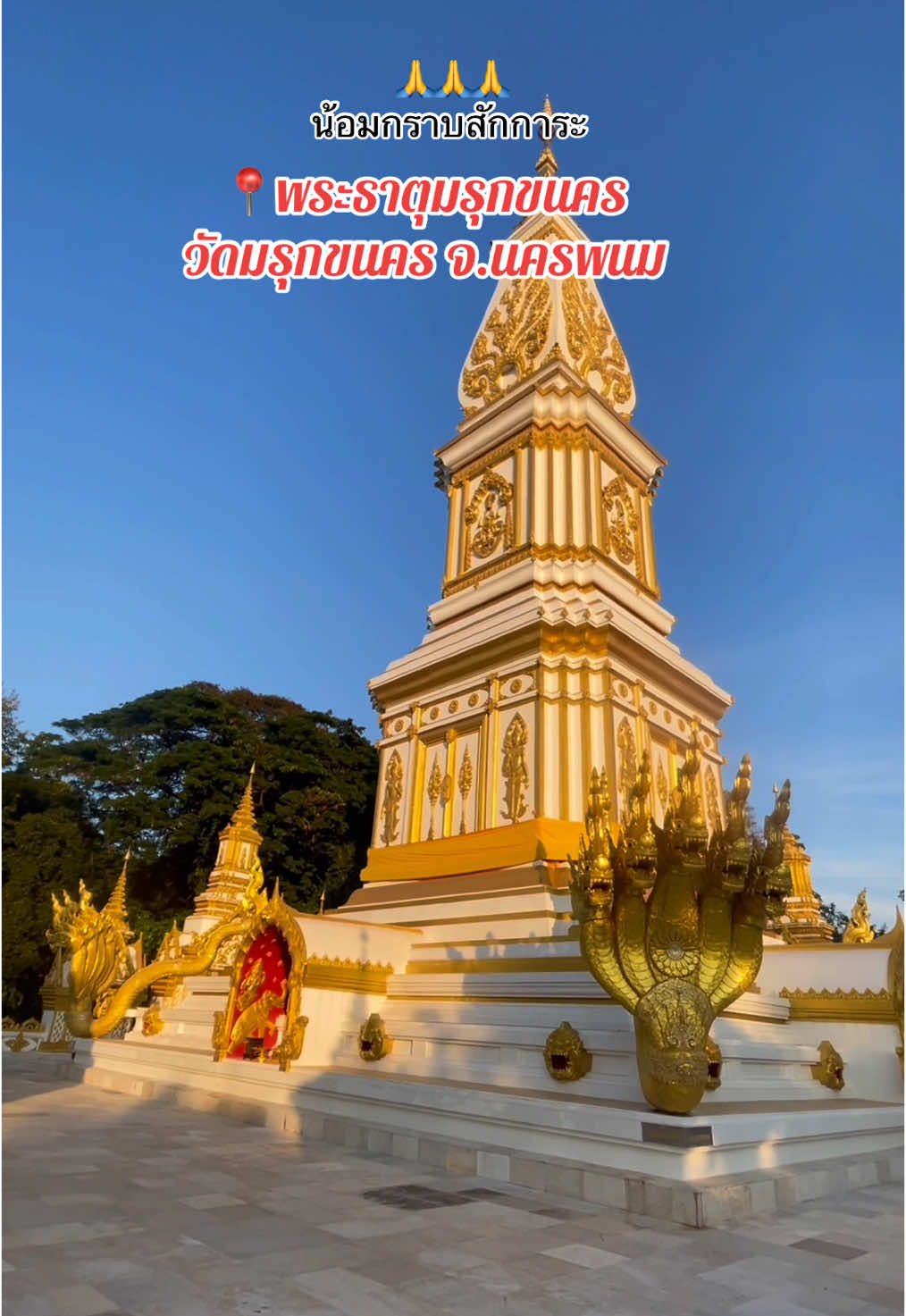 น้อมกราบสักการะ  พระธาตุมรุกขนคร วัดมรุกขนคร จ.นครพนม  #น#น้อมศรัทธาก#กราบสักการะพ#พระธาตุมรุกขนครพ#พญานาคพ#พญานาคราชน#นครพนม