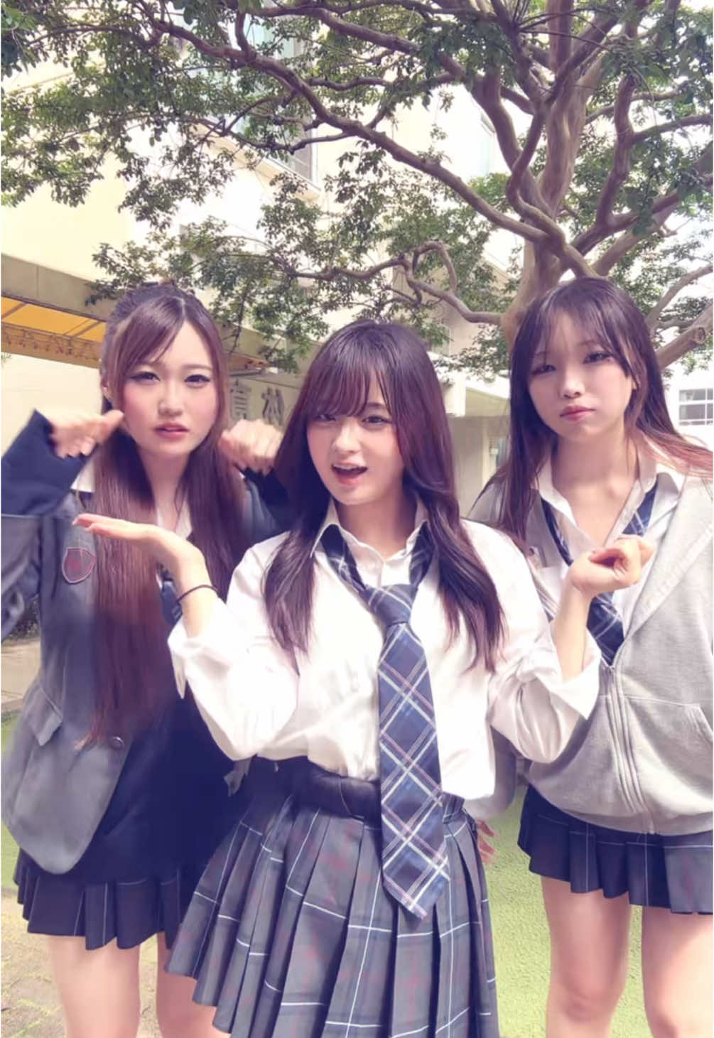ニワトリいないのたすけて #08 #추천 #ljk 