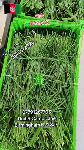 AFG BAZAAR DRIED FRUITS #afghanistan🇦🇫 #پشتون_تاجیک_هزاره_ازبک_زنده_باد🇦🇫 #Dehqan #Bakhtarmarket #kabulmandawi #tolomarket #foryou #viral 