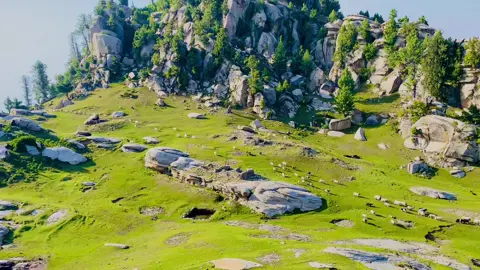 Obsessed with this Place ⛰️🌲♥️ #mountains #elum #Hiking #nature #swat 