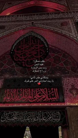 #كربلاء #shia #explorer #fyp #313 