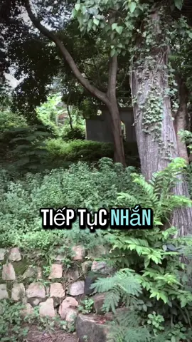 Dù không nên nhưng phải nhắn để nhẹ bớt…tin nhắn rác cũng được🫣