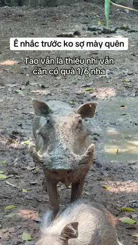Nhớ quà 1/6 cho tao nha! #GreenCreator #Vinpearl #VinWonders #VinpearlGolf #WonderSummer #TuhaoVietNam #SafariPhuQuoc #vinpearlsafariphuquoc #dulichphuquoc #chuỗi #pumba #timon #meerkat 