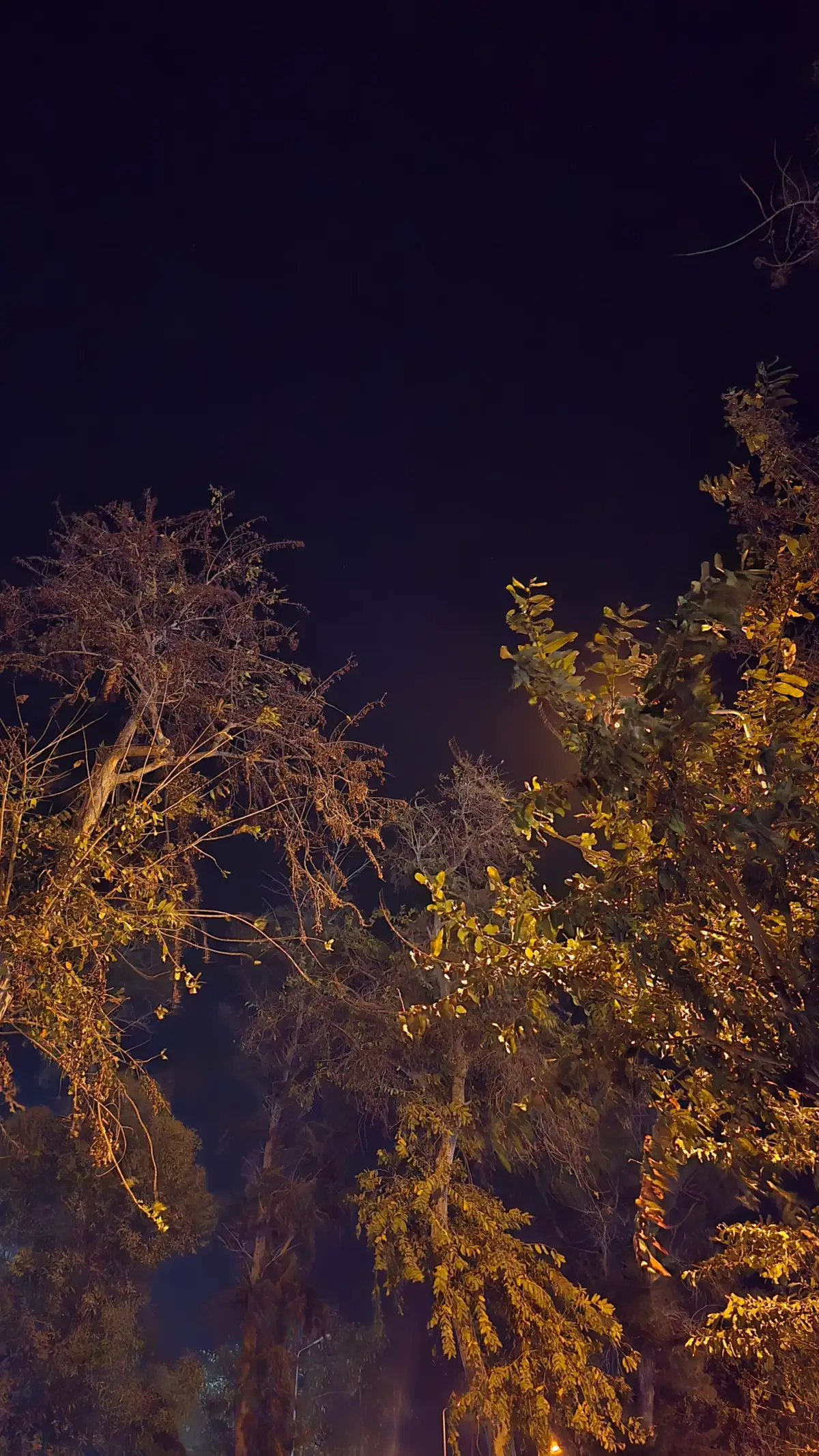 #اليسا #جن_وغني_عني_ومني_احلا_آه #viralvideo #📷📷 @elissaofficial @𝐌𝐨🖤 𝐦𝐮𝐬𝐢𝐜🖤 