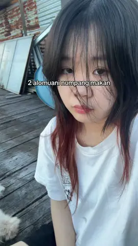 Open donasi (jk) #pengangguran #fyp #dog #meme #pov #donation 