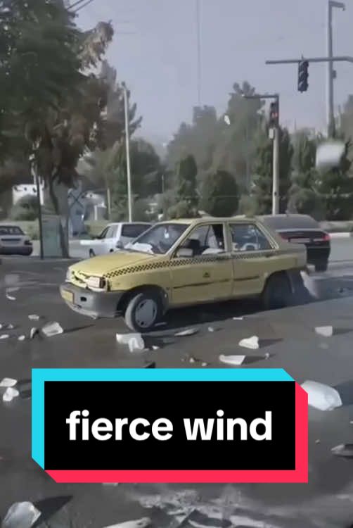 fierce wind #satifyingvideo #satisfyingvideos #weather #rainstorm 
