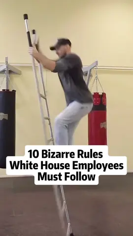 10 bizarre rules White House employees must follow #usa #hollywood #celebrity #foryoupage #fyp #rules #movie 