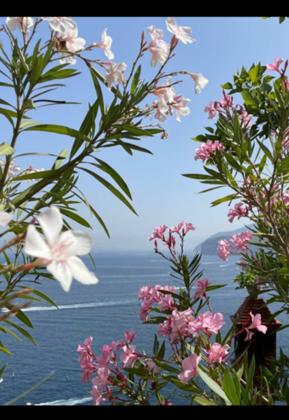 #moodboard #anthonybourdain #Summer #fyp 