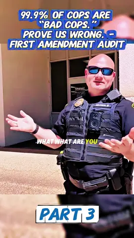 #copsoftiktok #foryou #fyp #audit 