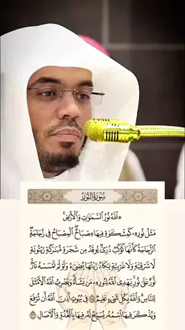 Heartfelt Quran Recitation Moments Titolo e hashtag consigliati  Heartfelt Quran Recitation Moments #quranrecitation, #emotionalrecitation, #islamiccontent, #spiritualgrowth, #muslimcommunity