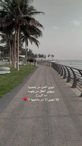 #السعودية🇸🇦 #اكسبلورexplore #مالي_خلق_احط_هاشتاقات #جدة 