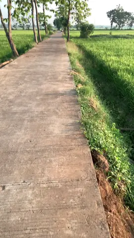 #kancamubalaku #padahariini #jepara #fyppppppppppppppppppppppp #yokfypyok #masukberandamuu #mentahan #mentahanvideo 