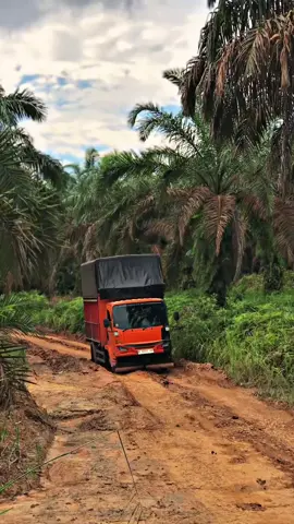 Tidak ada yang lebih indah kecuali melihat kita berubah menjadi lebih baik dari sebelum nya @rollisofficial 