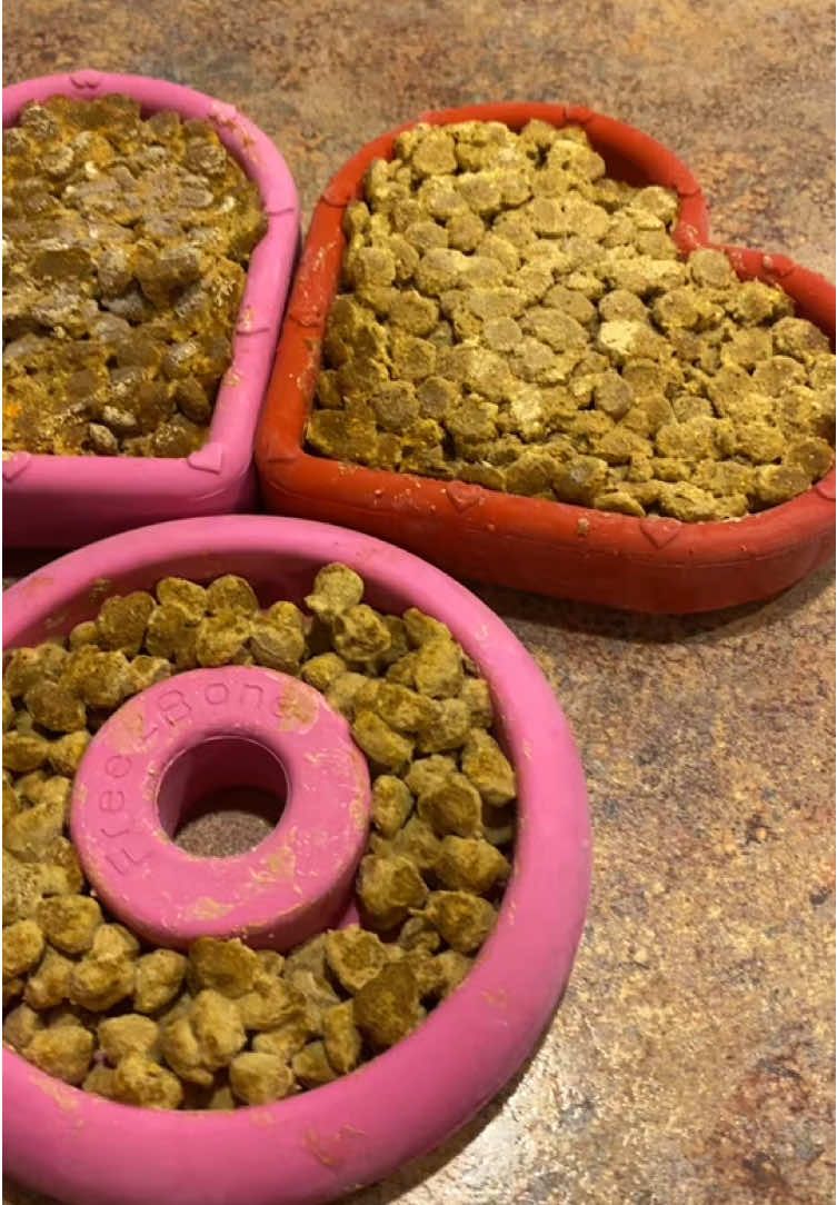 Memorial Day Sale is here 🎉🙌🏻 @Freezbone @Freezbone USA #freezbone #dogenrichment #dogowner #dogowners #puppy #puppytok #puppyowner #dogtok #dogtoker #dogtoy #dogtreat #petowner #petsupplies #dogmom #fy 