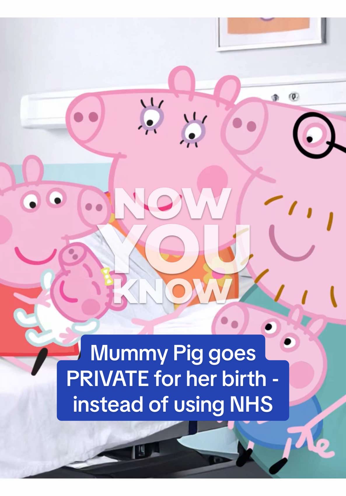 Mummy Pig opted to give birth at the exclusive Lindo wing in London, the same place as the Prince and Princess of Wales, raising questions about why she swerved the NHS.  Daily Mail has reached out to Mummy Pig for comment.  #peppapig #mummypig #peppapigbaby #news #birth #family #nhs #lindowing 