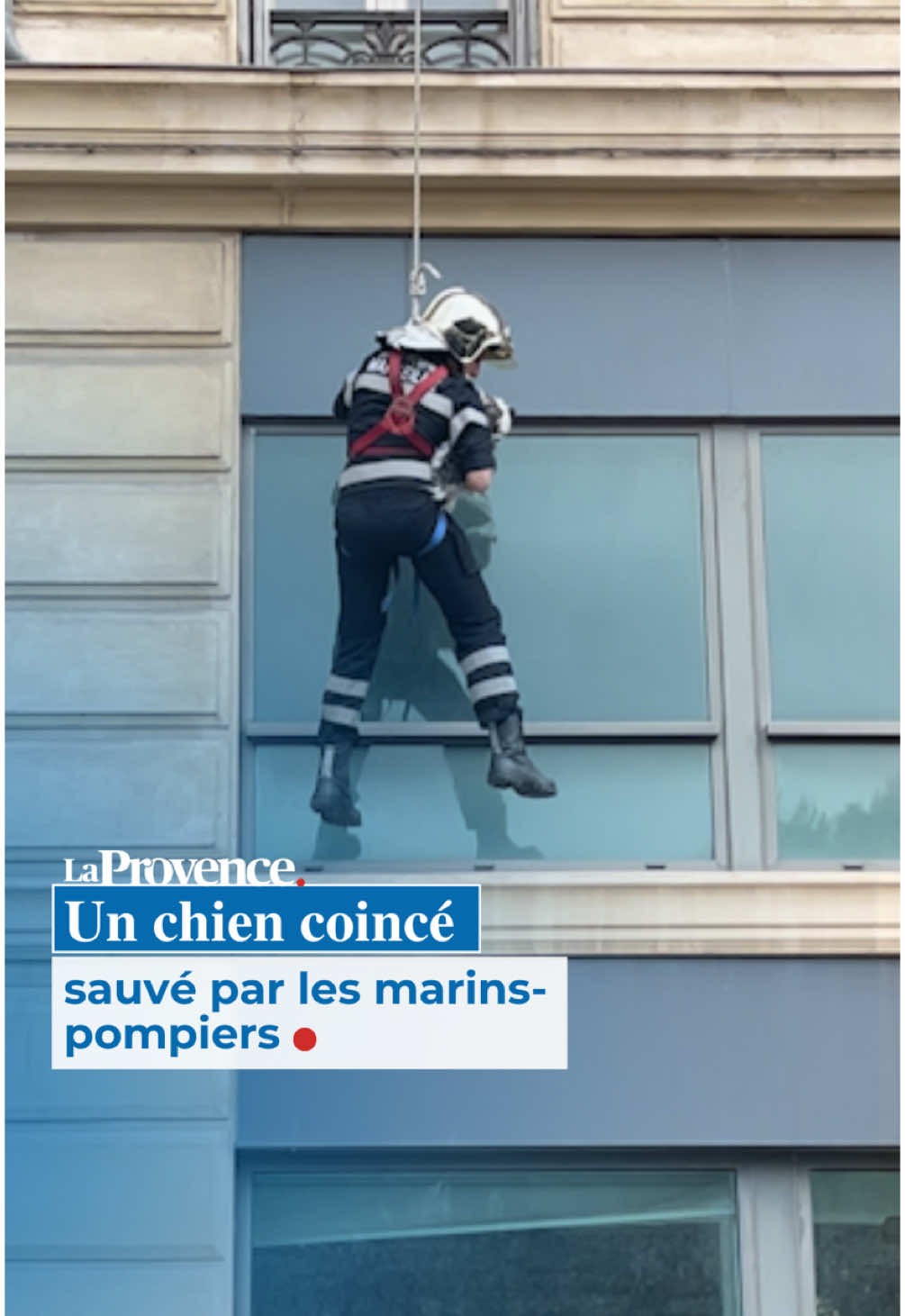 🐶 Un chien sauvé par les marins-pompiers à Marseille #marseille #chien #pompier 