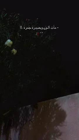 مات الورد فاركني عطره،💔#مرتضى_حرب #foryou #viral #اكسبلور #fyp 