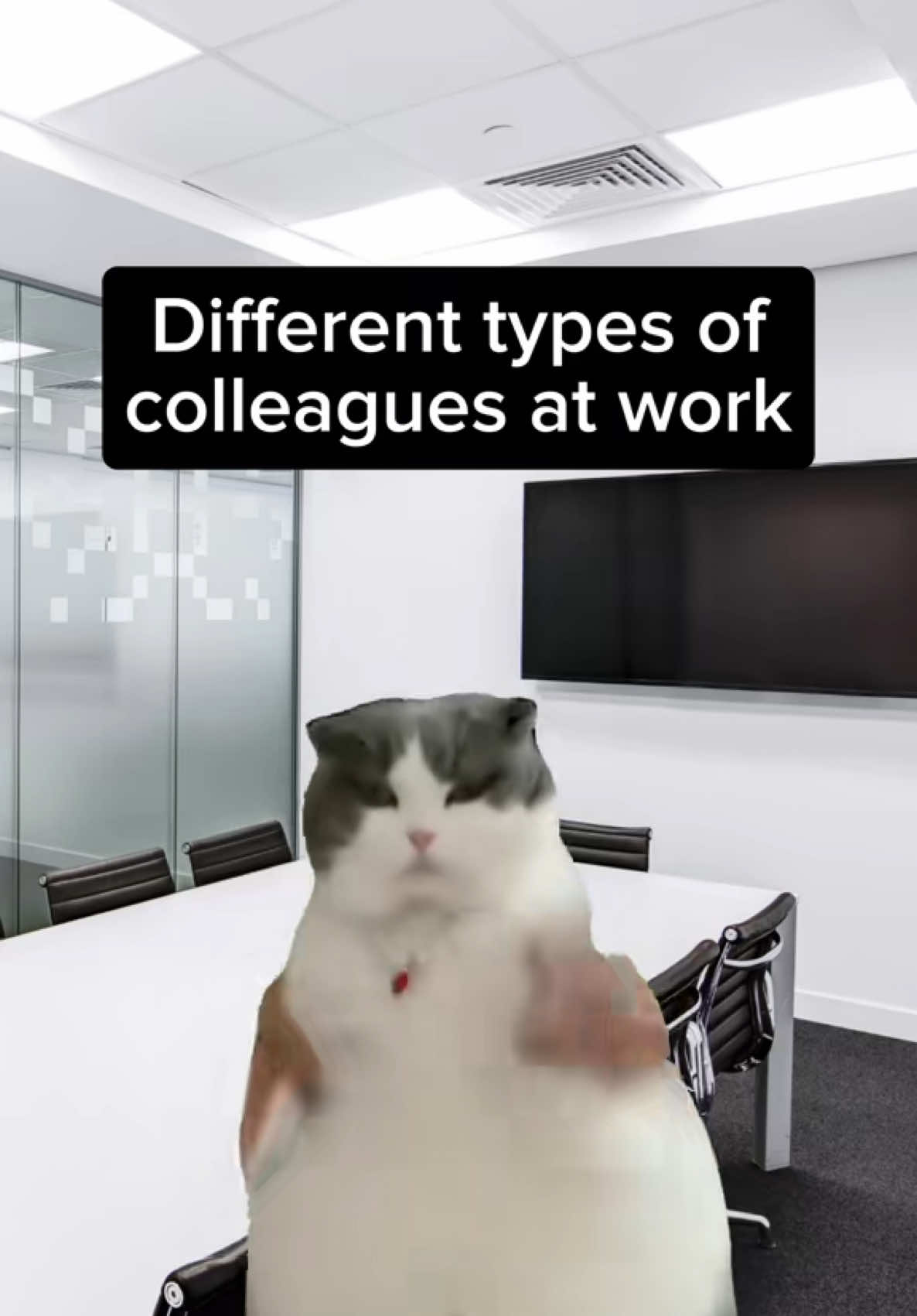 POV: Different types of work colleagues 🤣 #memecut #work #workhumor #workcollegues #office #fyp  