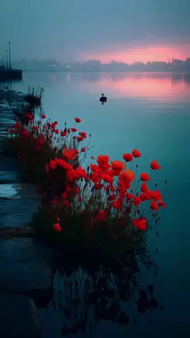 Savor Your Evening 💖✨💎 #calmvibes #healingnature #calmfeeling #livewallpaper #livewallpaper4k #healingtiktok #healingvideo