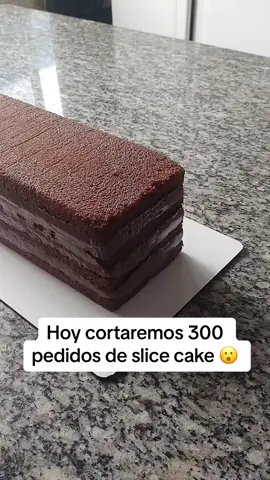 🔴 Visita el link de mi perfil para aprender repostería desde cero👩‍🍳🍰 #cakedecorating #cakeboss #reposteria #pasteleriacreativa #pasteleria #reposteriacasera #reposteriaencasa♥️ 