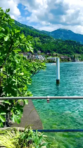 Standortbeschreibung (Ort & Emojis): Switzerland 🇨🇭 Weggis am See 📍🌿🖼️⛵🚤 ⸻ #berneroberland #switzerland #mountains #schweiz #swissalps #myswitzerland #nature #inlovewithswitzerland #Hiking #swiss #alps #wanderlust #visitswitzerland #travel #jungfrauregion #suisse #landscape #reels #naturephotography #relaxing #grindelwald #lauterbrunnen #interlaken #lake #switzerlandpictures #swissmountains #switzerlandwonderland #fotografie #weggis #vitznau