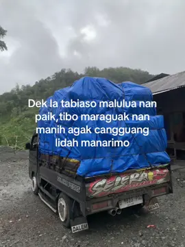 🥺🥺 #carrytayo #newcarrypickup #newcarrymodifikasi #kerinci_jambi_indonesia 