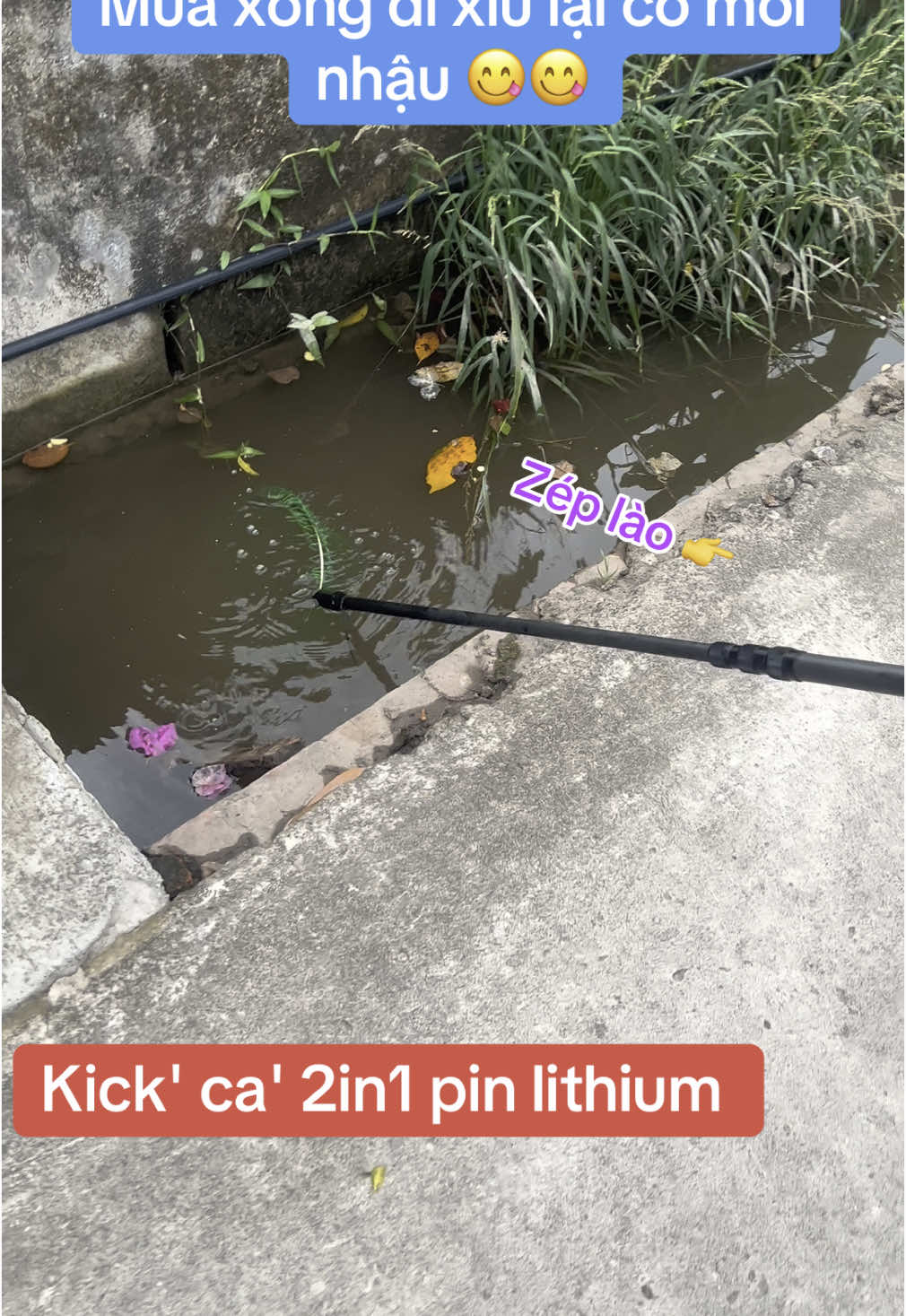 #kichcadientu #taiwan🇹🇼 #japan #korea #kichca #kichcarophi #kichcadatron #cauca #dammecauca #thuvui3mien #đammecau🐟🐟🐟 #xuhuong #sanbat 
