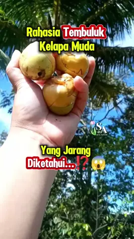 Rahasia tembuluk Kelapa yang jarang orang ketahui...⁉️😱 #tips #tipsandtricks #tutorial #DIY #lifehacks #herbalife 
