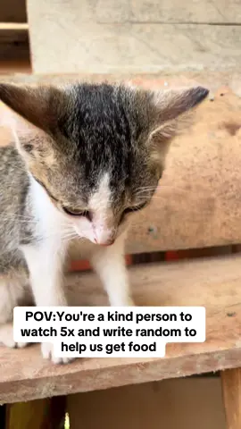 POV:You're a kind person to watch 5x and write random to help us get food
