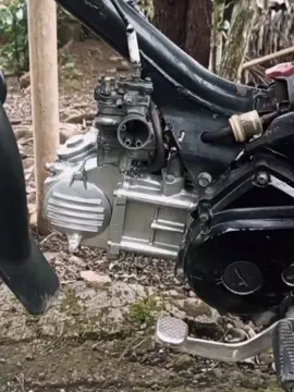 karbune ngelek ngeleki😹 #5d9gank #vegazr #beranda #fyp #4u #xybca #foryoupage #fyp 