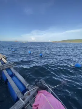 chỉ là một giất mơ thôi