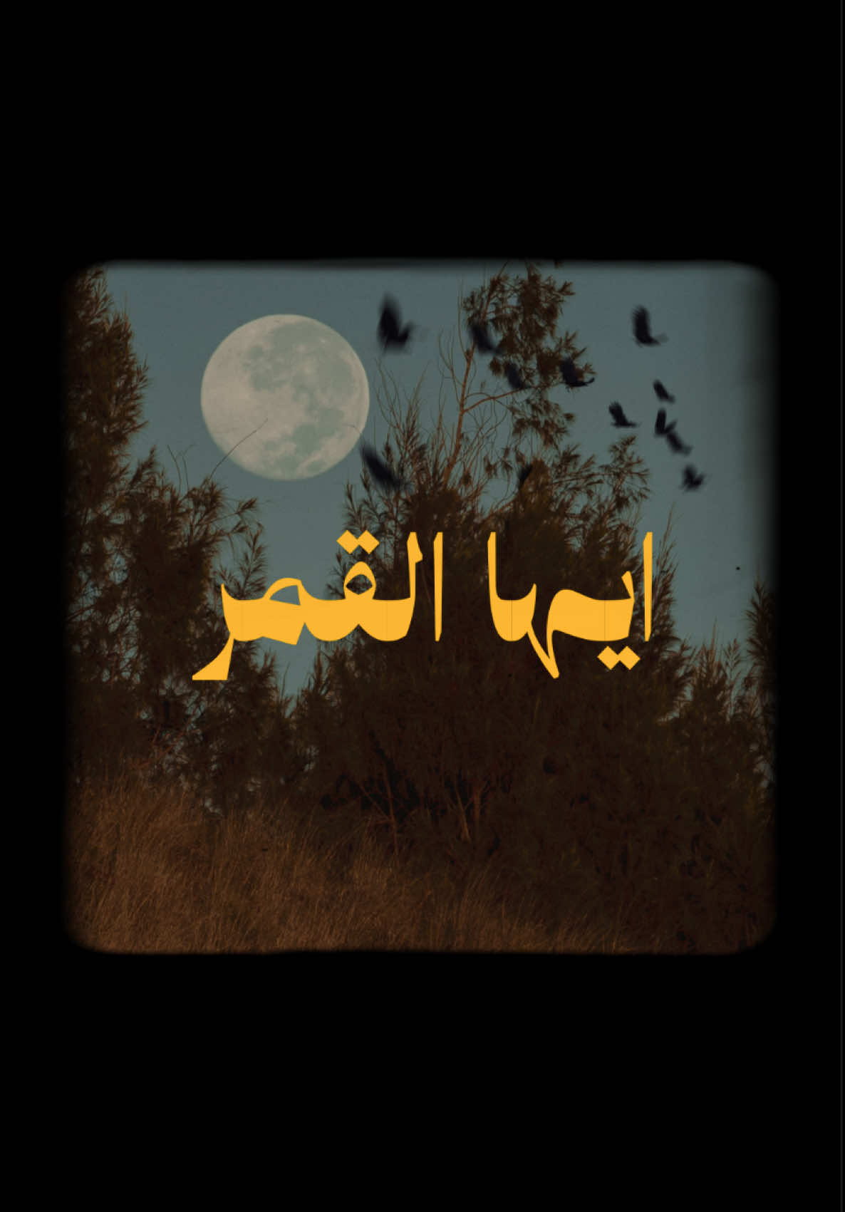 ادن شيئا أيها القمر 💛🌔 MOON (ALM EP) #شاما #chaama 