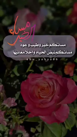 #مساء_الخير #مساء_الحب_والسعاده 